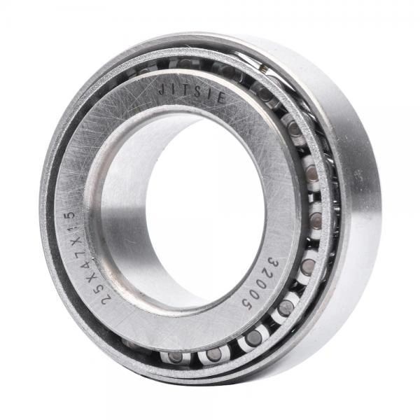 TRS Steering Stem Bearings