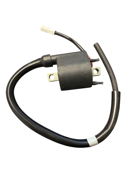 Coil and Lead 2023-2025 Sherco/Scorpa 11156