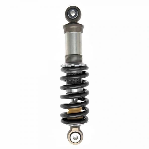 Rear Shock EVO Olle