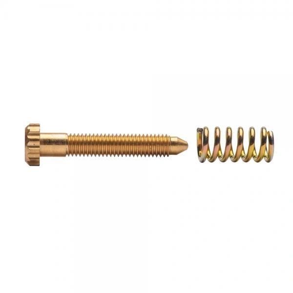 Keihin Idle Screw Kit