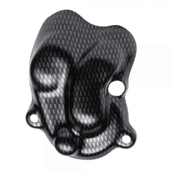 Beta Evo Water Pump Protector