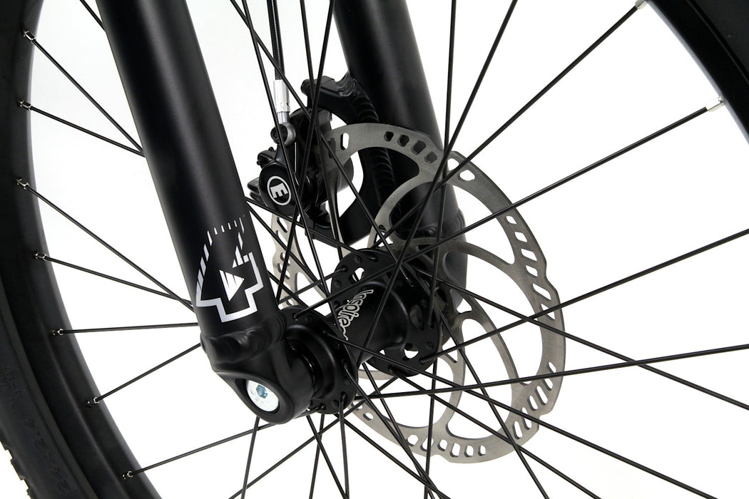 Inspired Fourplay Pro 24"