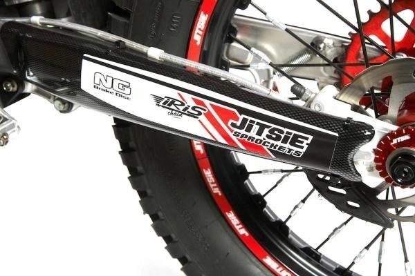 Beta Evo Swingarm Protector