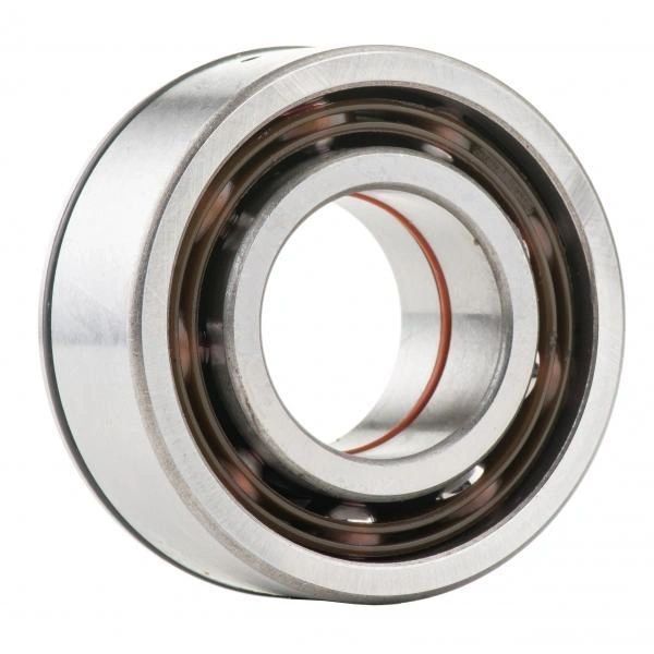 GasGas Crankshaft Bearing with Seal