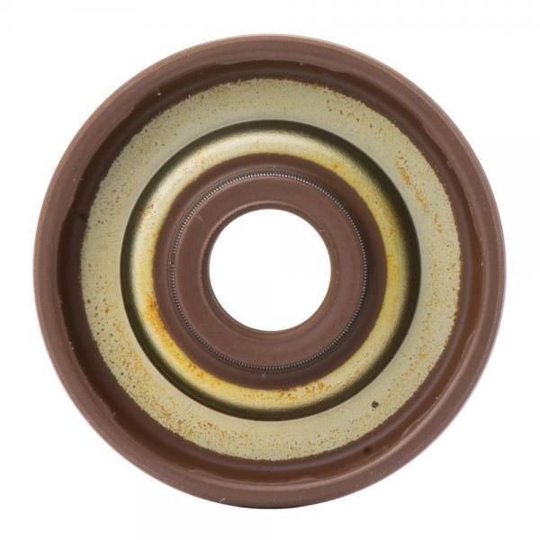 Water Pump Oil Seal GasGas