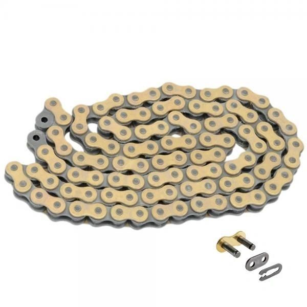 Chain 102 Links Gold Regina 520