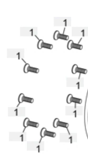 Sherco/Scorpa Clutch Plate Screws