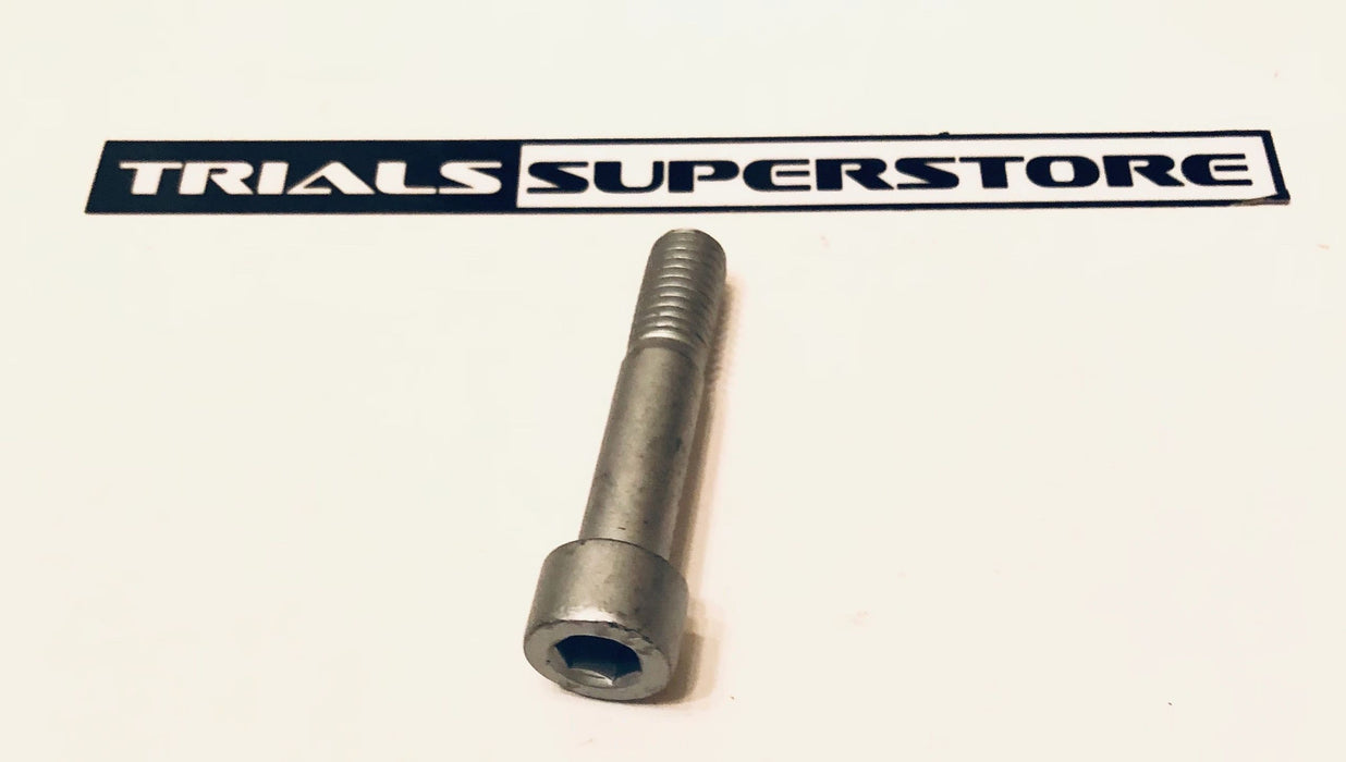 GasGas Lower Shock Bolt