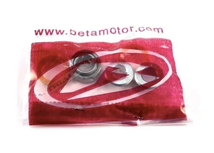 OEM Beta EVO Shock Bearing Kit