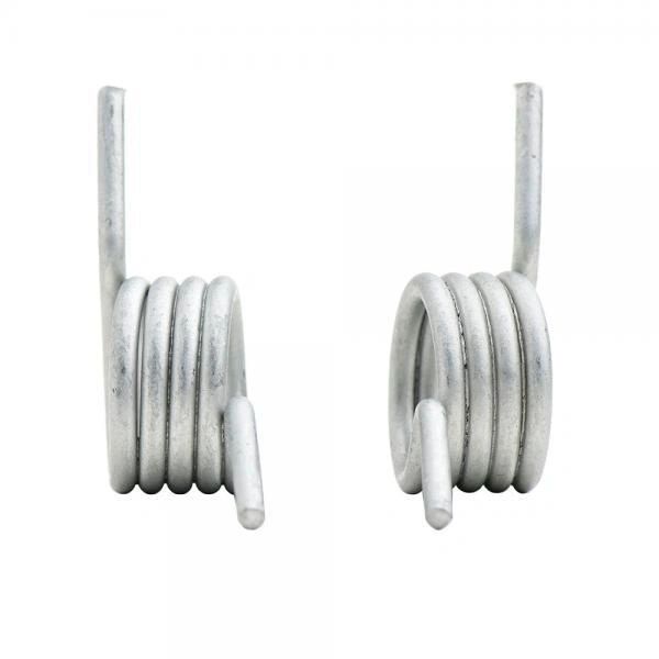 Footpeg Springs Set