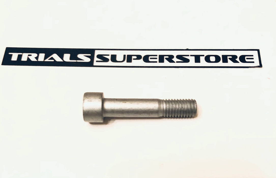 GasGas Lower Shock Bolt