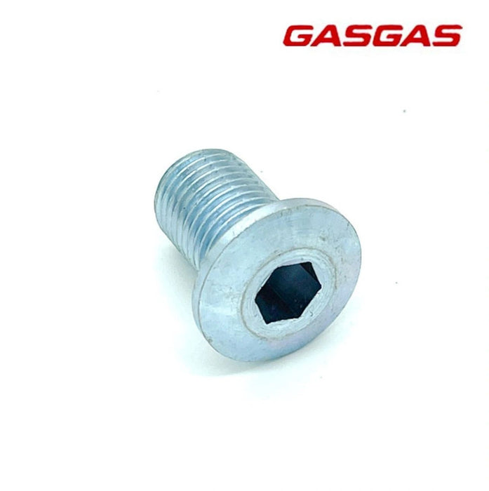 GasGas Swingarm Shaft Bolt 04-18