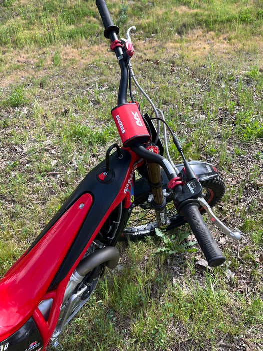 2024 GasGas 300 GP USED