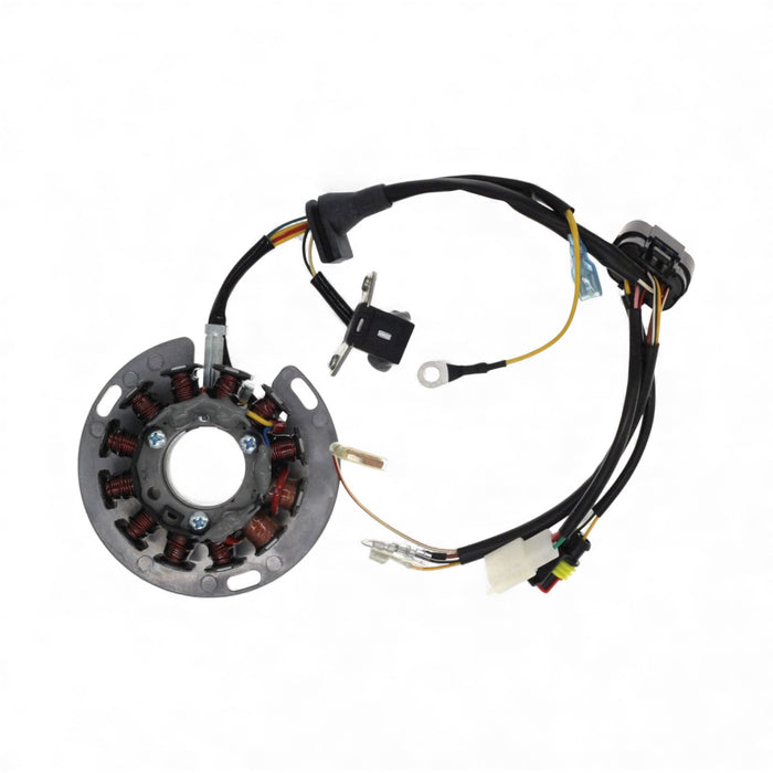 Sherco/Scorpa Hidria Stator Plate 250/300