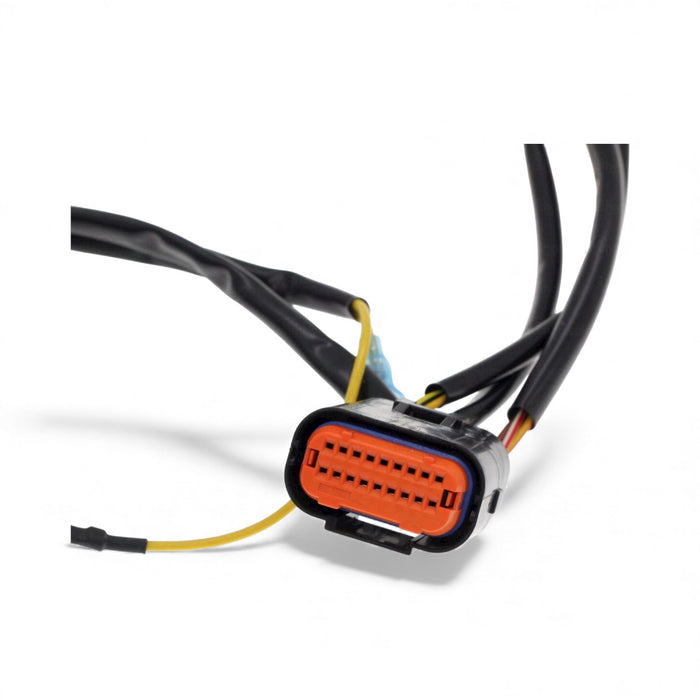 Sherco/Scorpa Hidria Stator Plate 250/300