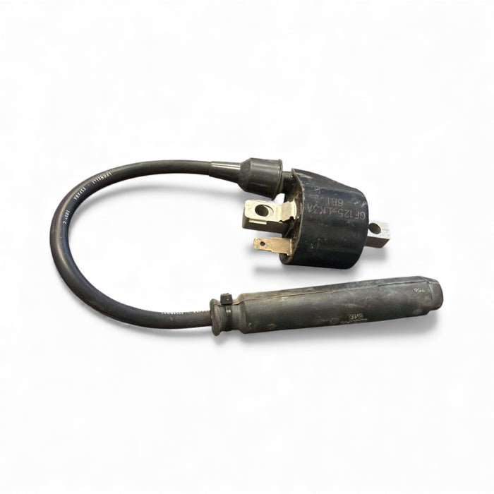 Coil Ignition 4t