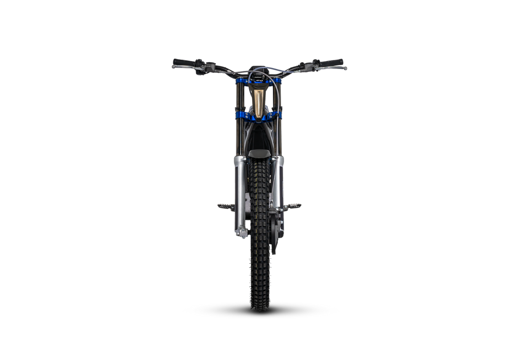 2026 Electric Motion Escape R