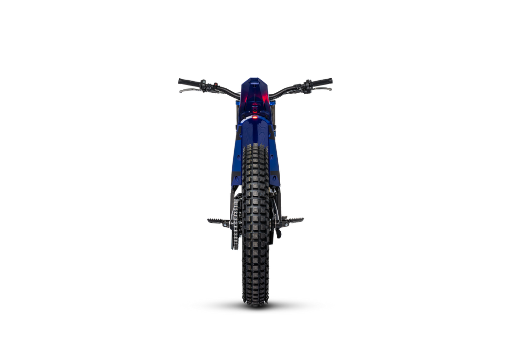 2026 Electric Motion Escape R