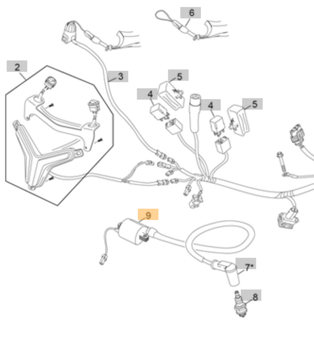 Coil and Lead 2023-2025 Sherco/Scorpa 11156