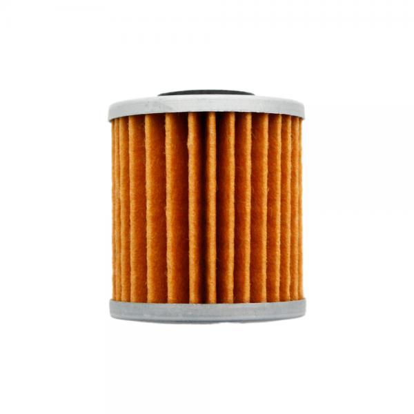 Oil Filter Beta Evo 4t