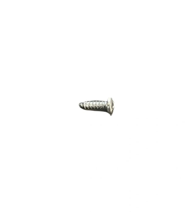 Beta Rev/Evo Taillight Lens Screw