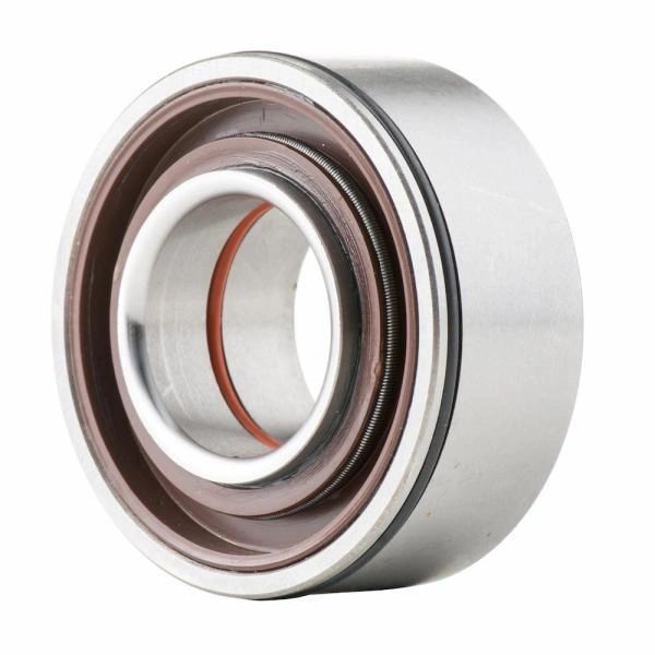 GasGas Crankshaft Bearing with Seal