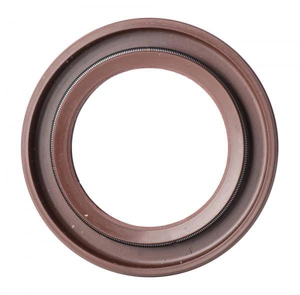 GasGas Crankshaft Bearing Seal